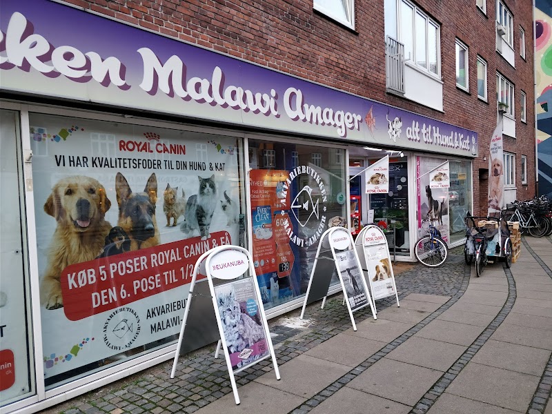 Akvariebutikken Malawi-Amager / Akvariefisken