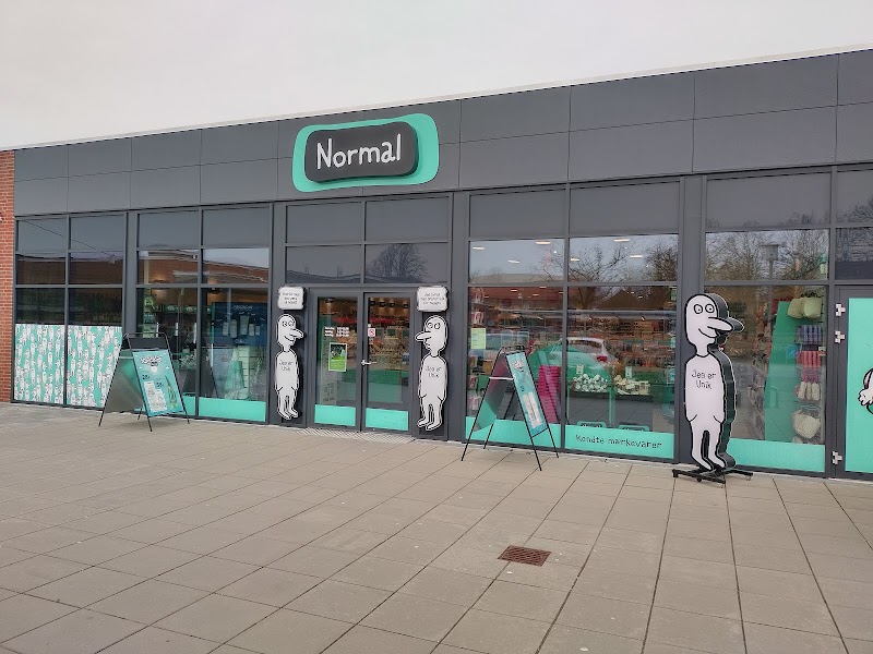 NORMAL Hammel, Tema Centret