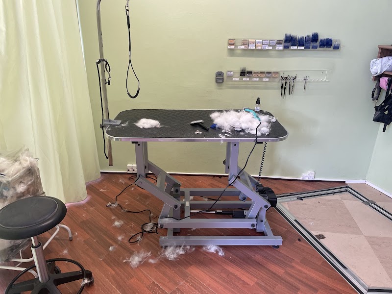 Dubis Hunde og Kattesalon